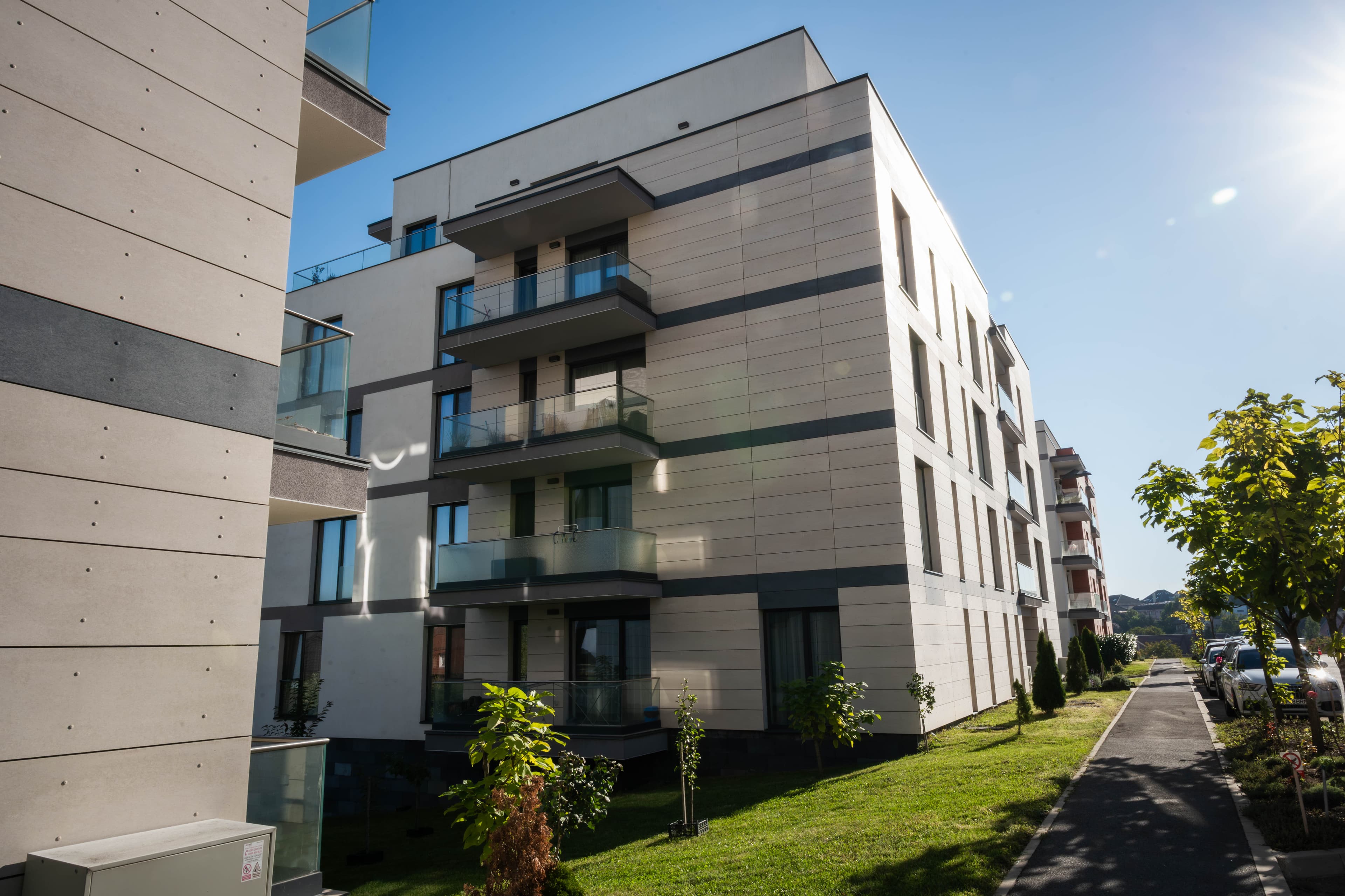 imagine principala null